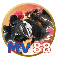 MV88