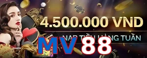 MV88